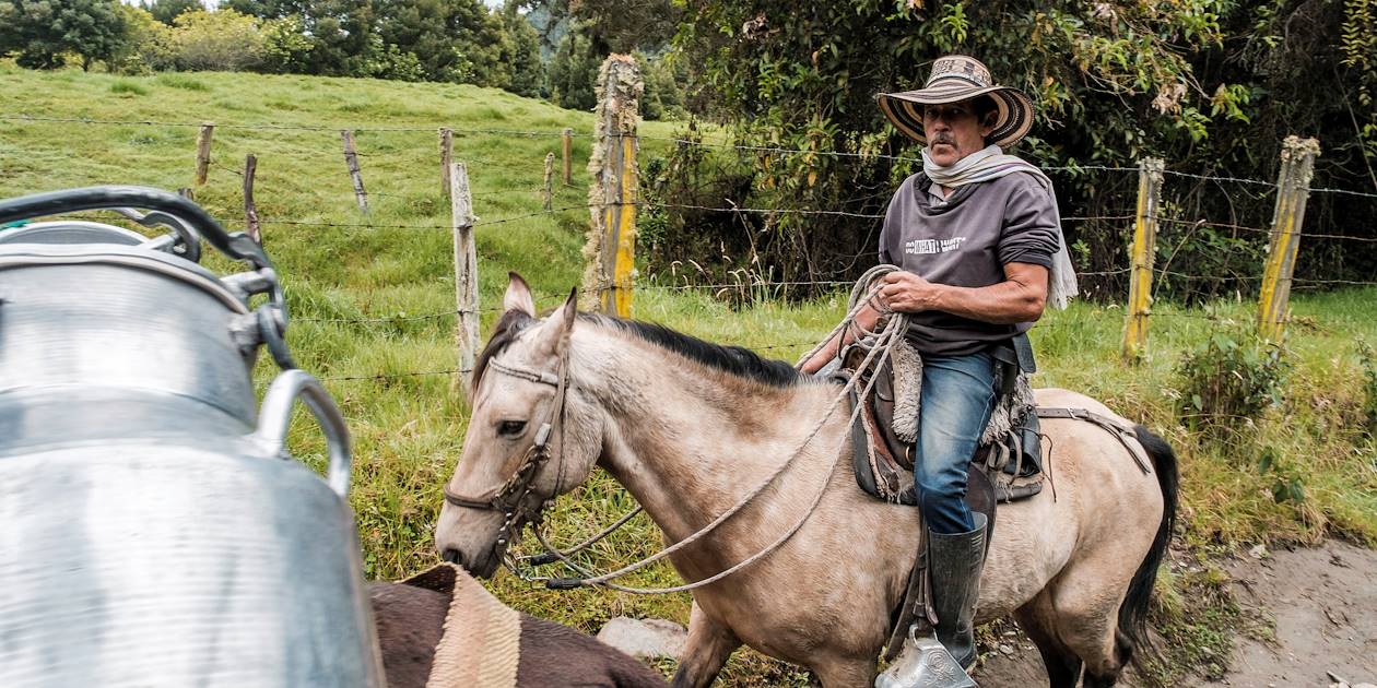 Scène de vie dans la Vallée de Cocora - Colombie