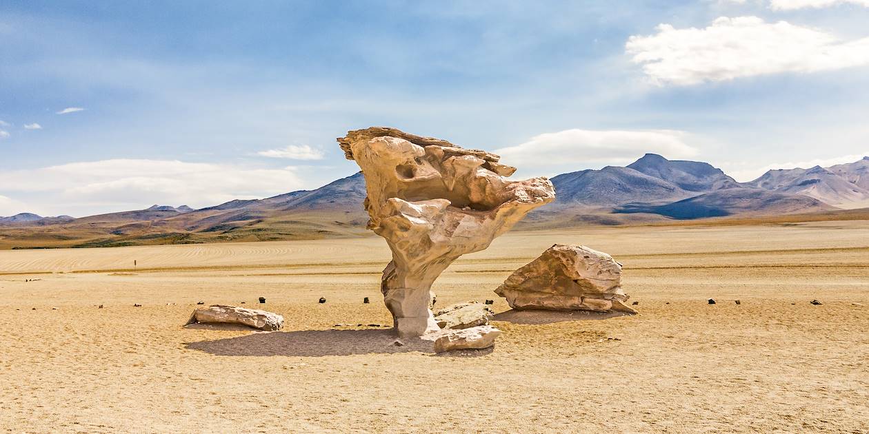 Arbre de pierre crée par le vent dans le désert de Siloli - Département de Potosi - Bolivie