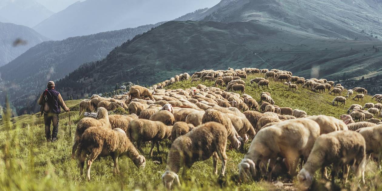 Sur le chemins des bergers - Bjelasica - Monténégro