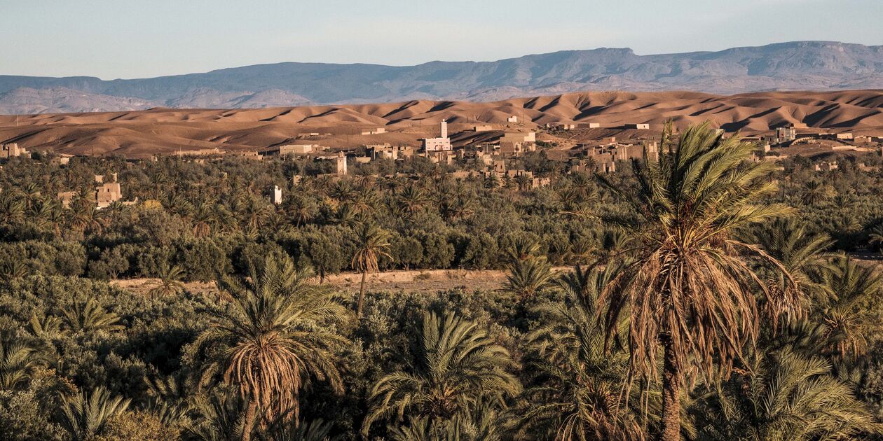 Palmeraie de Skoura - Maroc