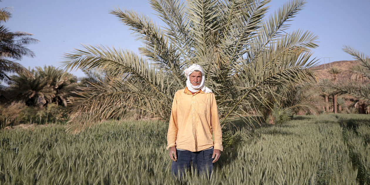 Portrait d'un homme dans une palmeraie autour de Tazzarine - Maroc