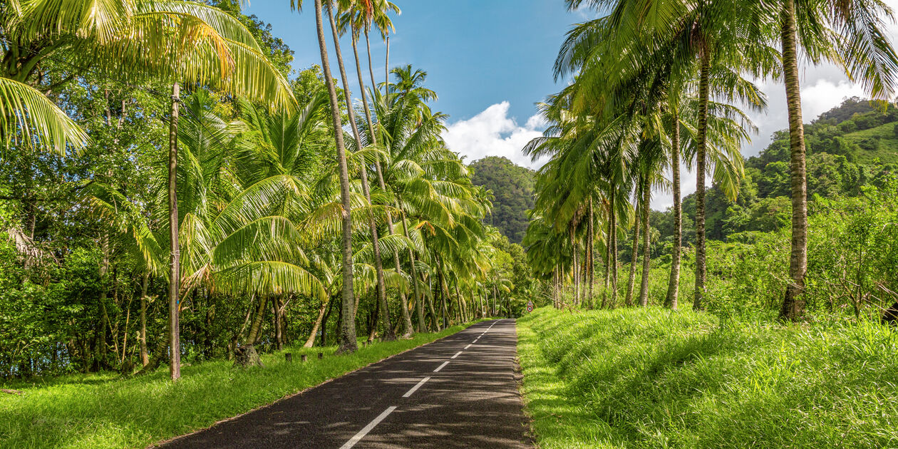 Road trip en Martinique