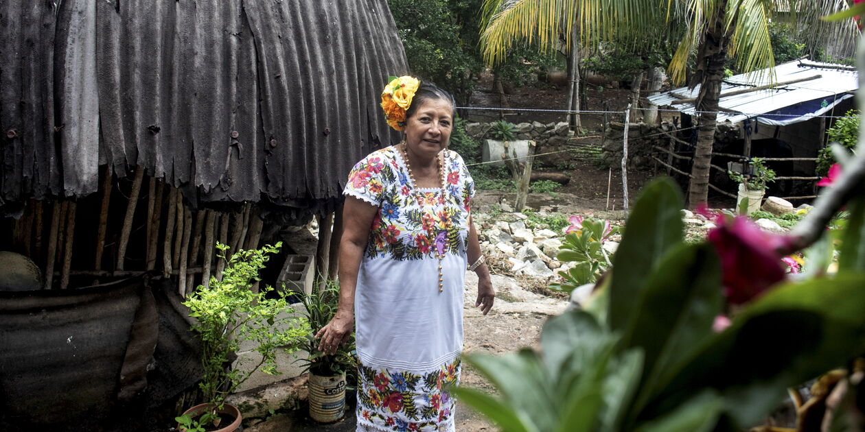 Découverte de la culture maya à Tekit : rencontre avec Dona Rosa - Yucatan - Mexique
