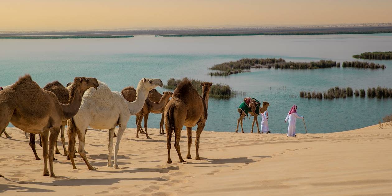 Asfar Lake - Arabie Saoudite 