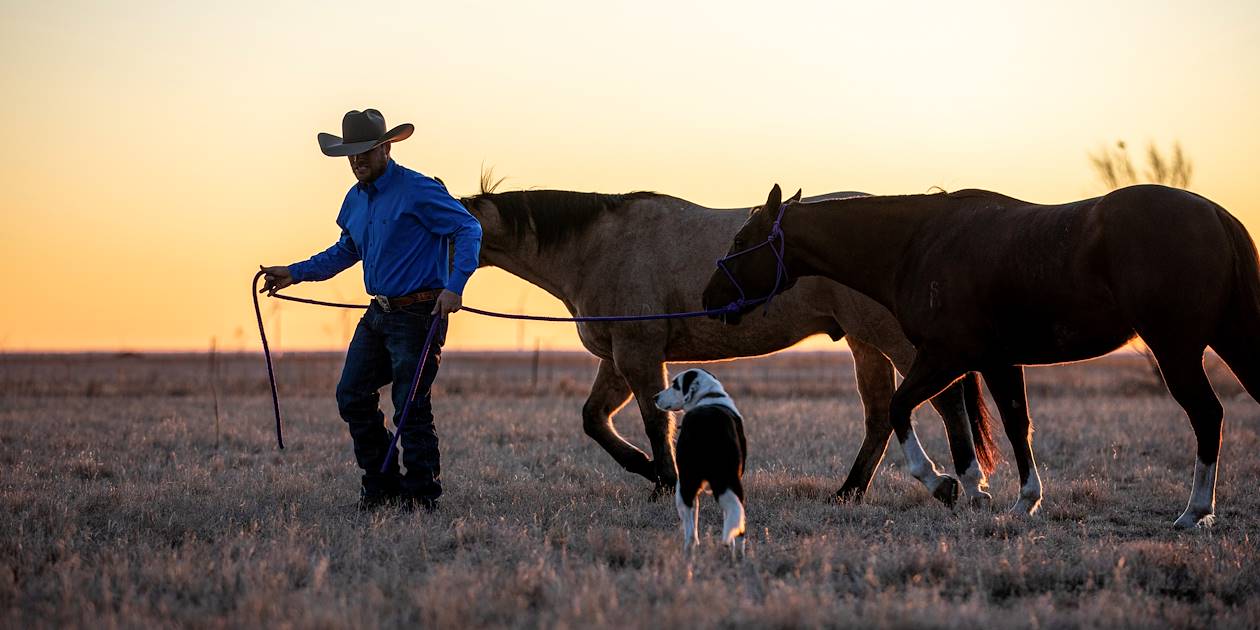 Coucher de soleil au ranch - Texas - Etats-Unis