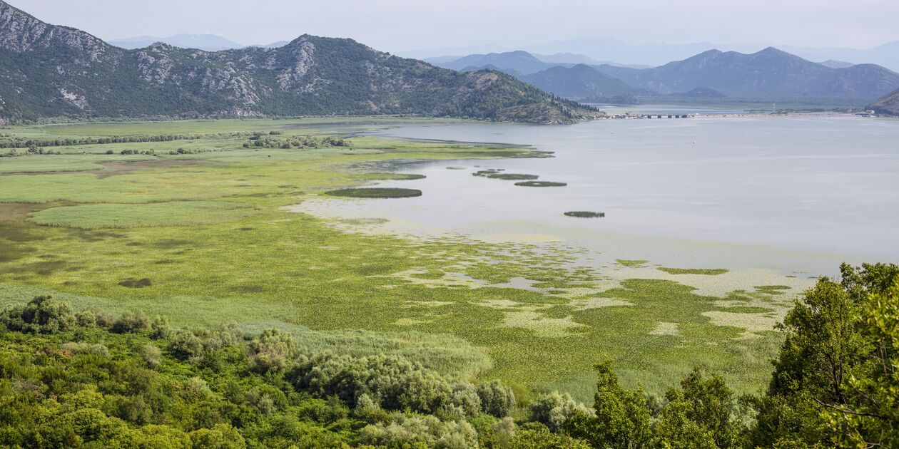 Apartments Lake View - Virpazar - Monténégro