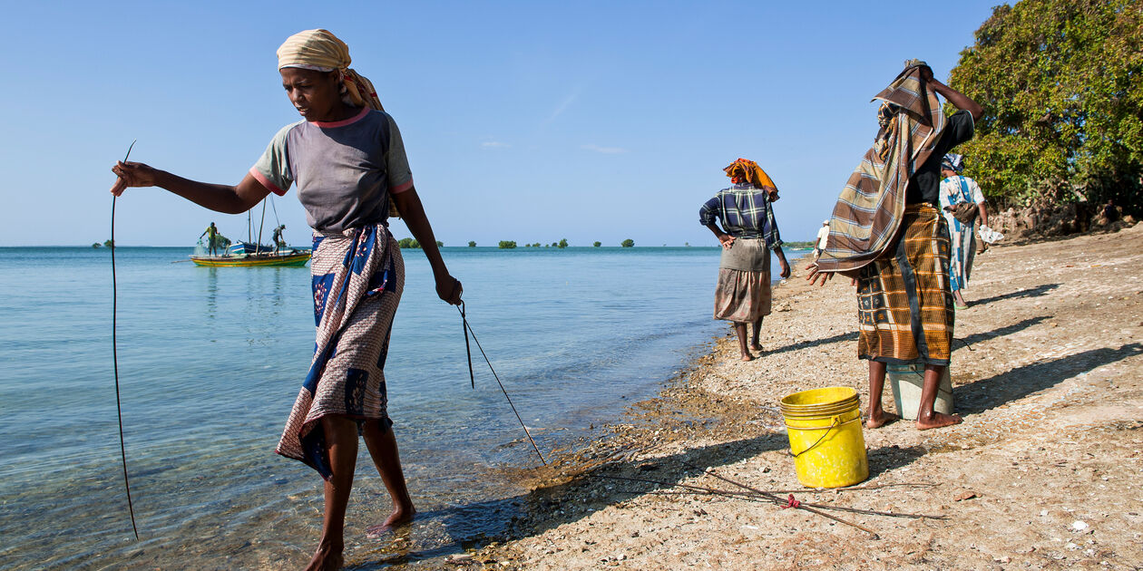 Retour de pêche sur l'île d'Ibo - Archipel des Quirimbas - Mozambique