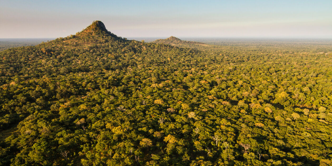 Parc national de Gorongosa - Mozambique