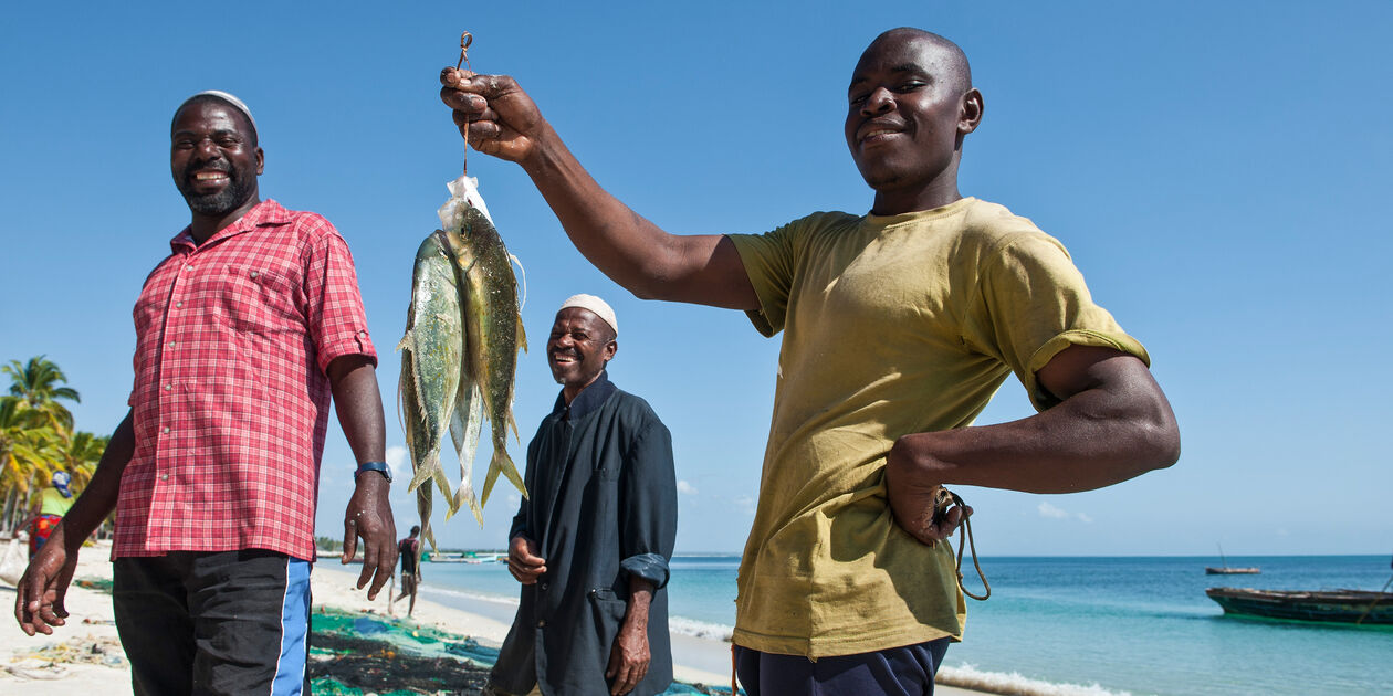 Retour de pêche sur la plage de Pangane - Mozambique