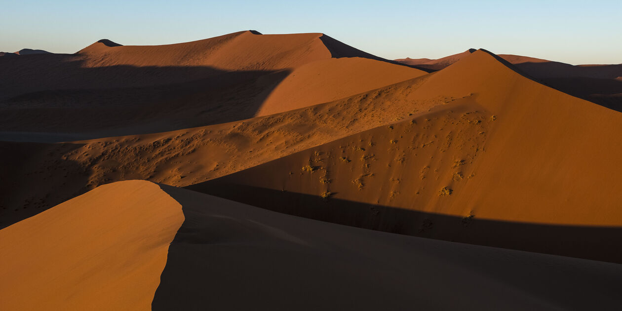 Désert de Sossusvlei : lever de soleil sur la Dune 45 - Désert du Namib - Namib Naukluft - Namibie