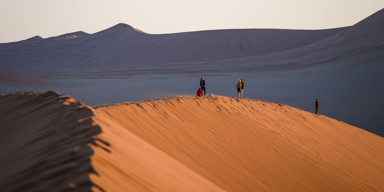 Désert de Sossusvlei : lever de soleil sur la Dune 45 - Désert du Namib - Namib Naukluft - Namibie