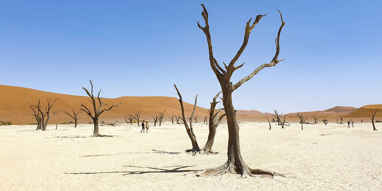 Deadvlei près de Sossusvlei dans le désert du Namib - Namibie