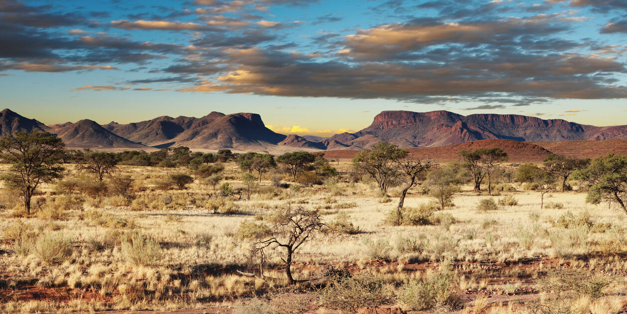 Désert du Kalahari - Namibie