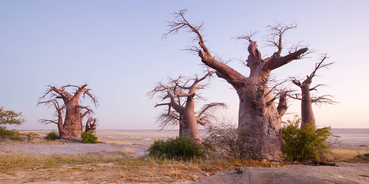 Lever de soleil sur les pans de de Makgadikgadi - Botswana