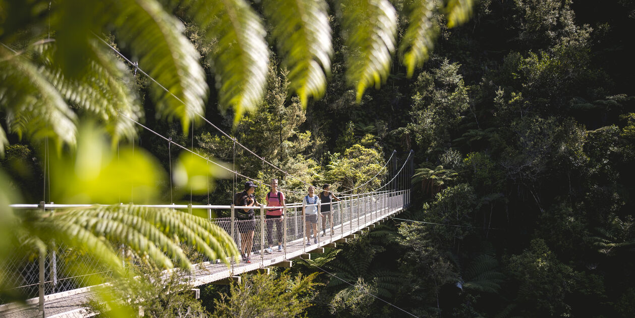 Parc national Abel Tasman - île du Sud - Nouvelle Zélande