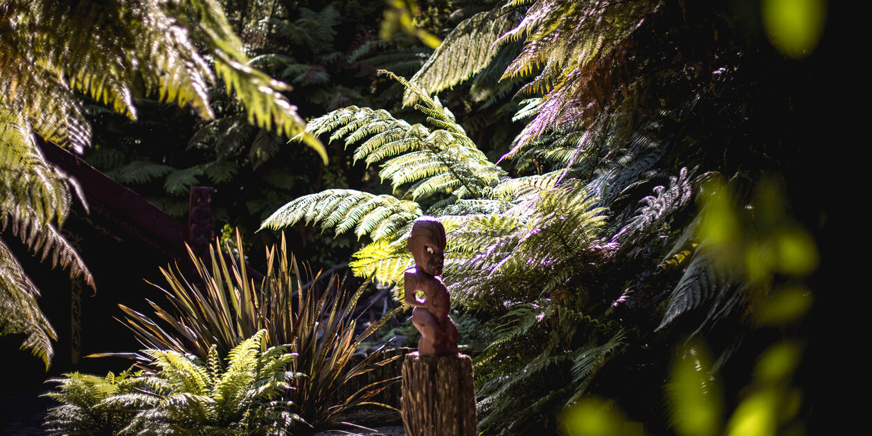 Rotorua - Île du Nord - Nouvelle-Zélande
