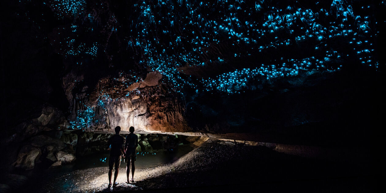 Vers luisants les grottes de Waitomo - Nouvelle Zélande