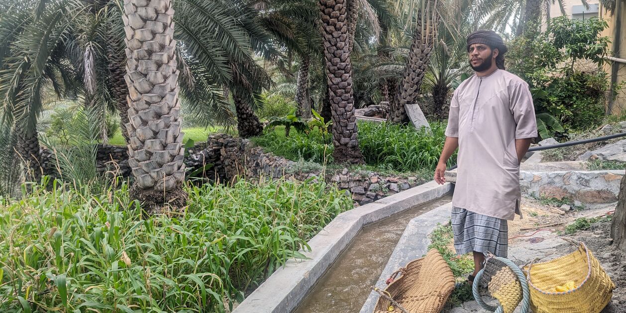 Rencontre avec les agriculteurs de la palmeraie de Al Hamra - Oman
