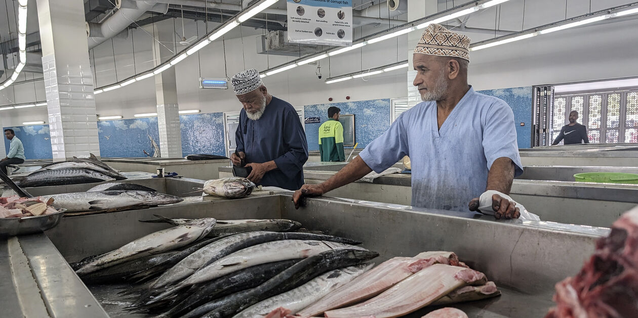 Marché aux poissons de Muttrah - Mascate - Oman