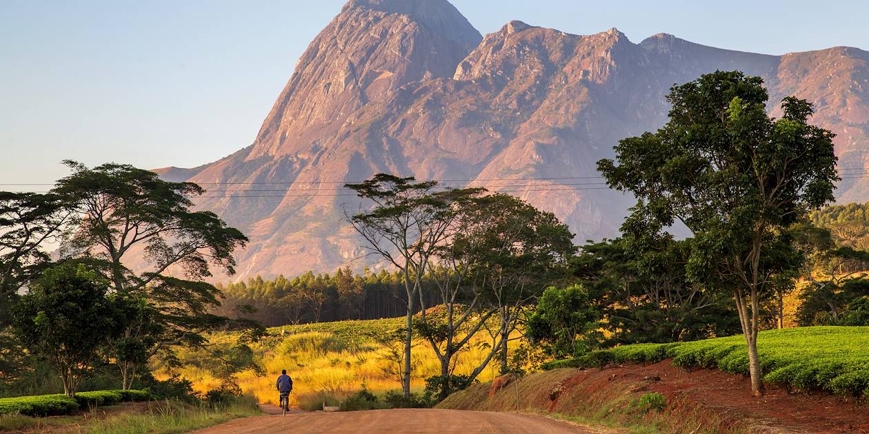 Massif de Mulanje - Malawi