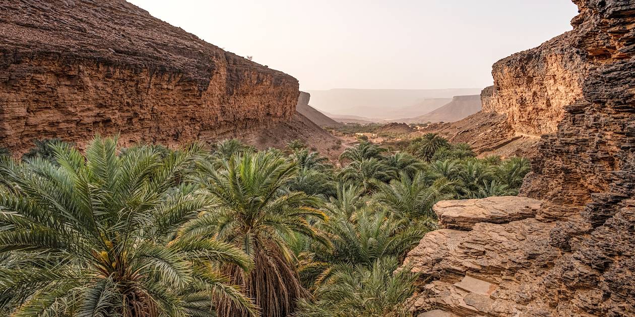 Oasis de Tergit - Région de l'Adrar - Mauritanie