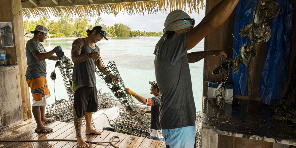 Ferme perlière à Fakarava - Îles Tuamotu - Polynésie Française