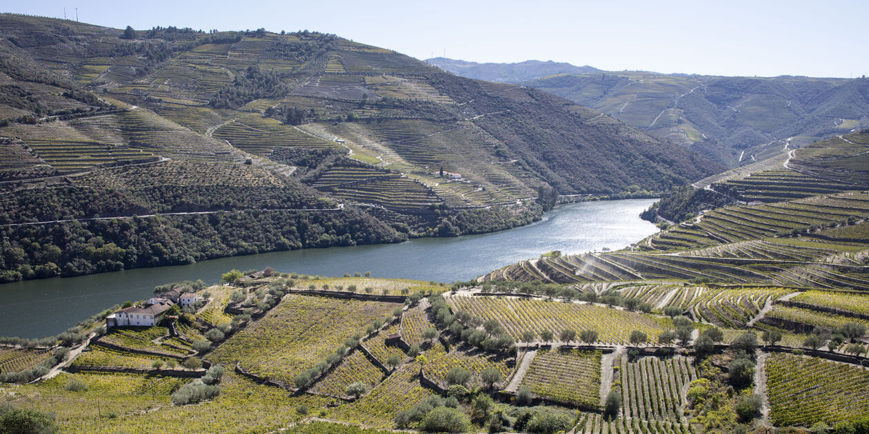 Vallée du Douro - Portugal
