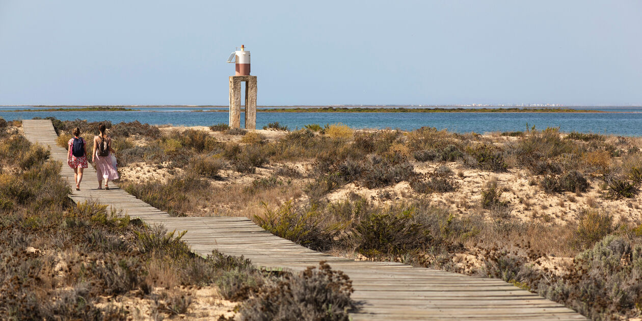 Ilha Da Barreta - Ria Formosa - Algarve - Portugal