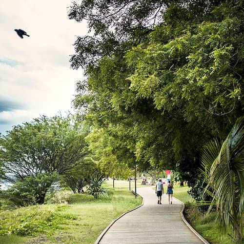 Balade sur le littoral - St Paul - Région Ouest - La Réunion