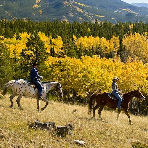 Randonnée à cheval dans le Parc national Jasper - Alberta - Canada