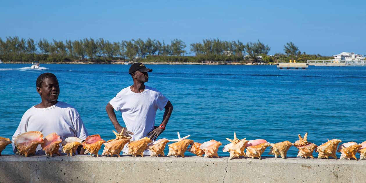 Vendeurs de conques sur le port de Nassau - Île de la Providence - Bahamas