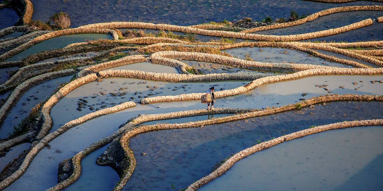 Coucher de soleil sur les rizières du Yunnan - Chine