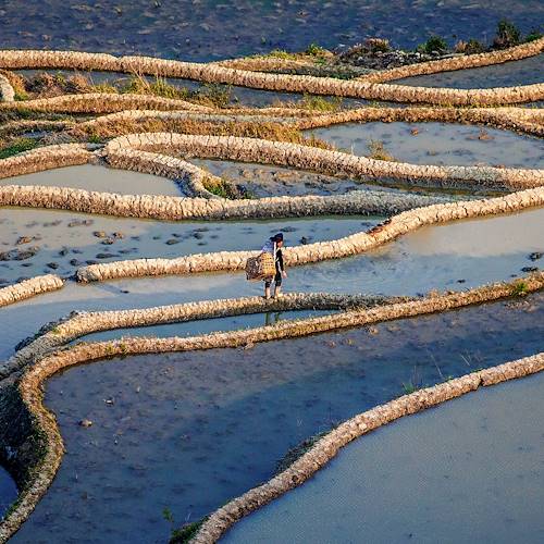 Coucher de soleil sur les rizières du Yunnan - Chine