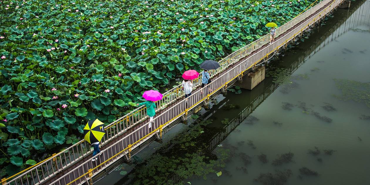Pont suspendu dans le parc Deokjin à Jeonju - Corée du Sud