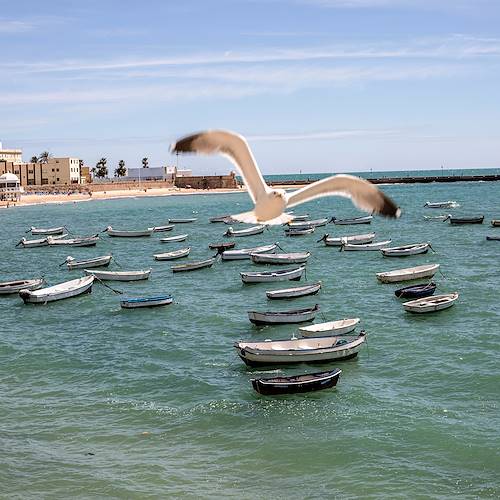 Plage de La Caleta - Cadix - Andalousie - Espagne