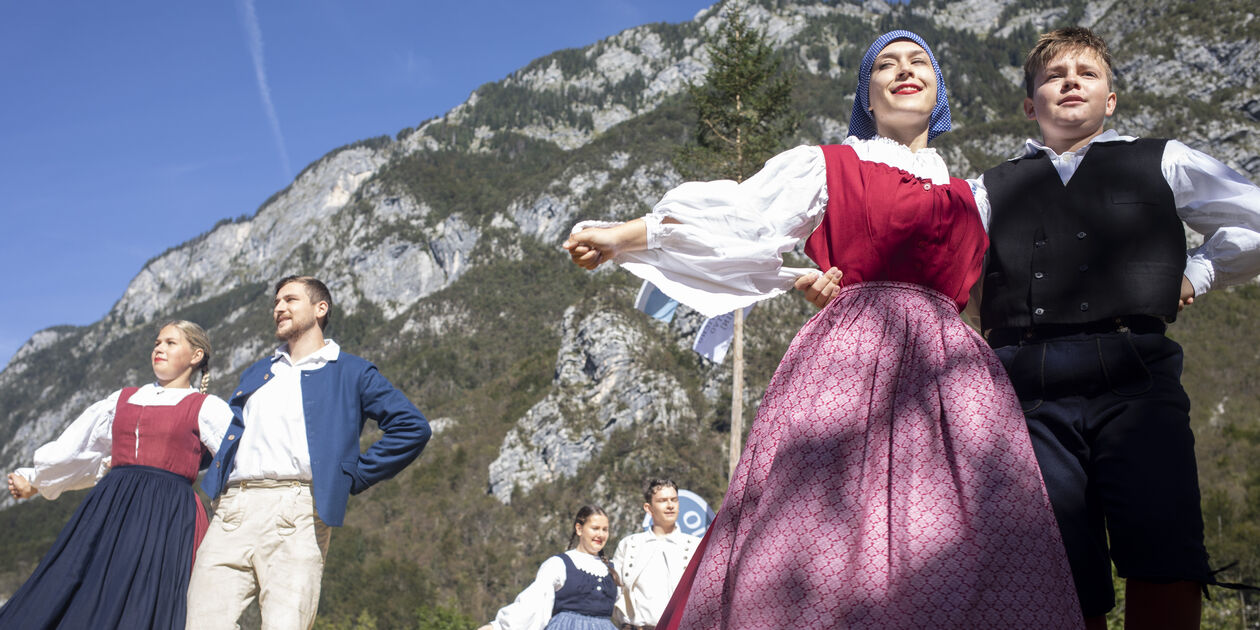 Bal des vaches slovènes à Bohinj - Slovénie