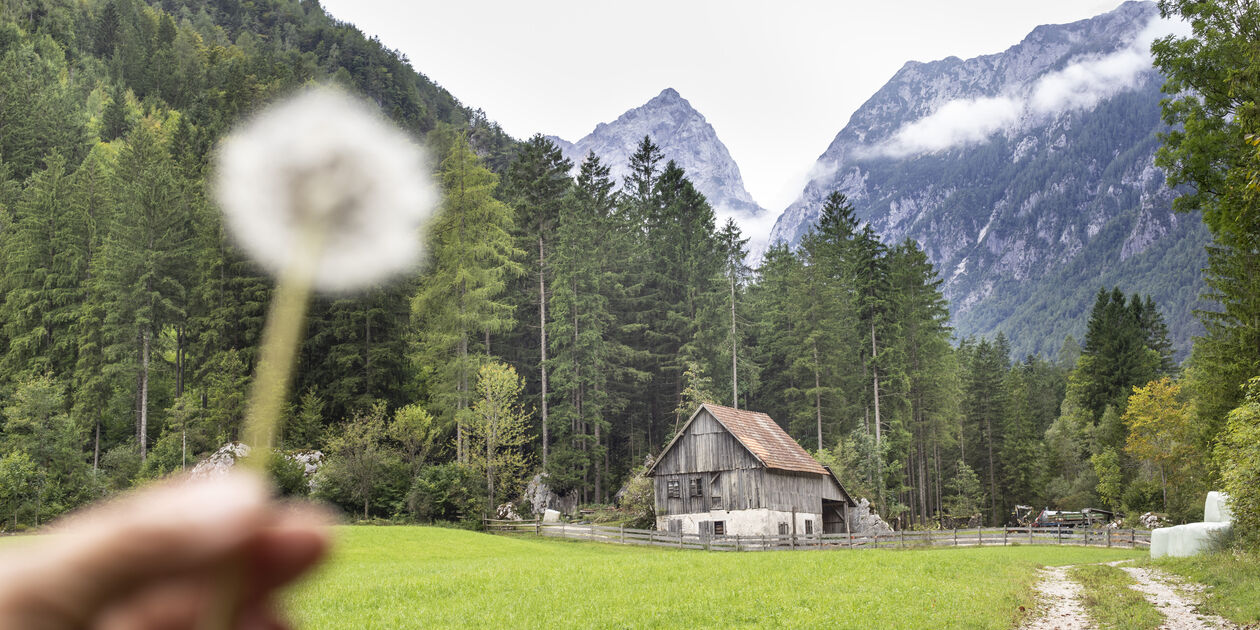 Vallée de Robanov Kot - Solcava - Slovénie