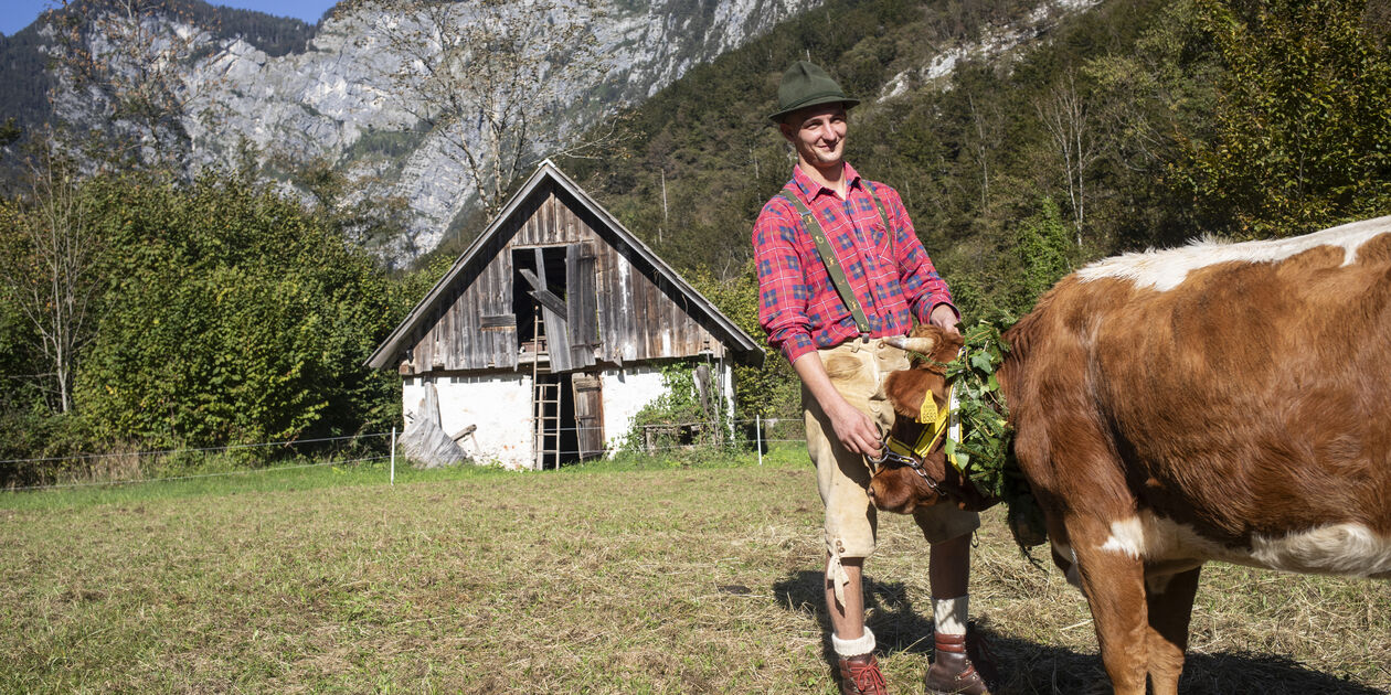 Bal des vaches slovènes à Bohinj - Slovénie
