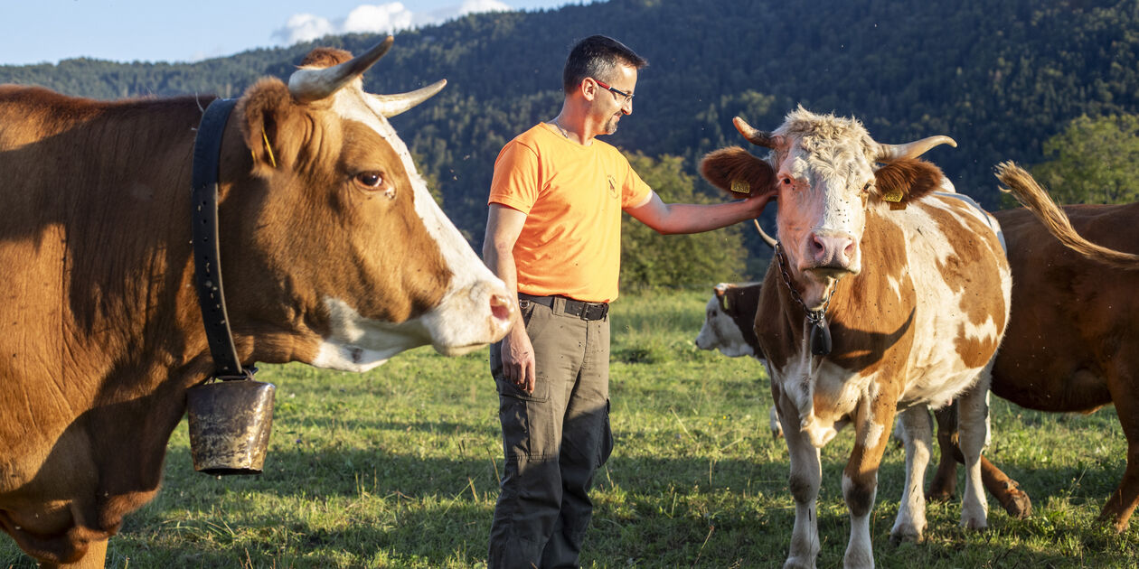 Slovénie, royaume des abeilles : rencontre avec la famille Ambrozic, apiculteurs à Bled - Slovénie