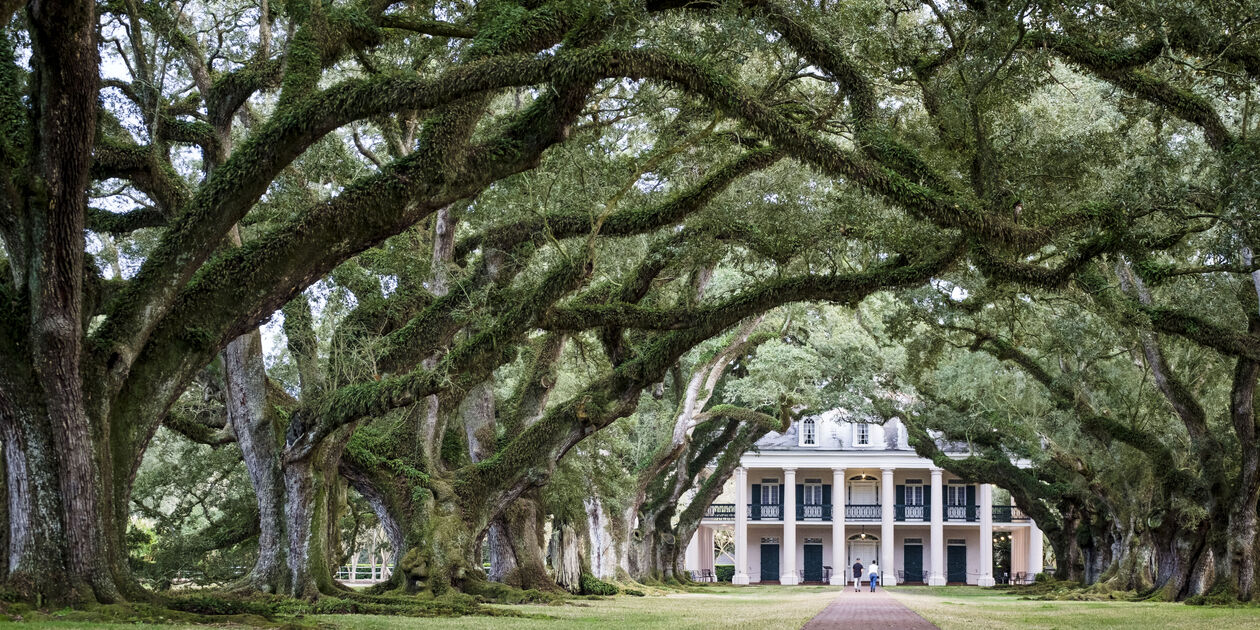 Sur la route des Plantations : la demeure Oak Alley Plantation - Louisiane - Etats Unis