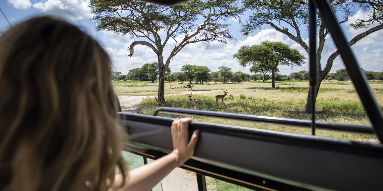 À la découverte du Parc National du Tarangire - Parc du Tarangire - Nord - Tanzanie