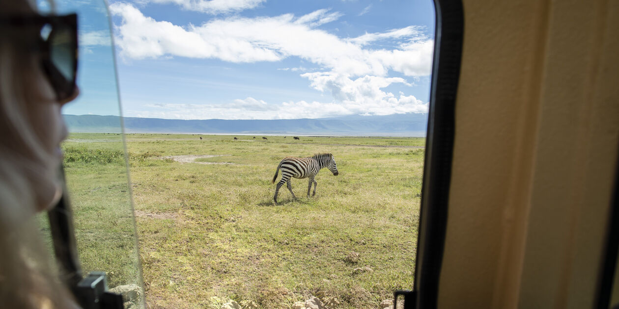 Safari au Cratère de Ngorongoro - Cratère de Ngorongoro - Nord - Tanzanie