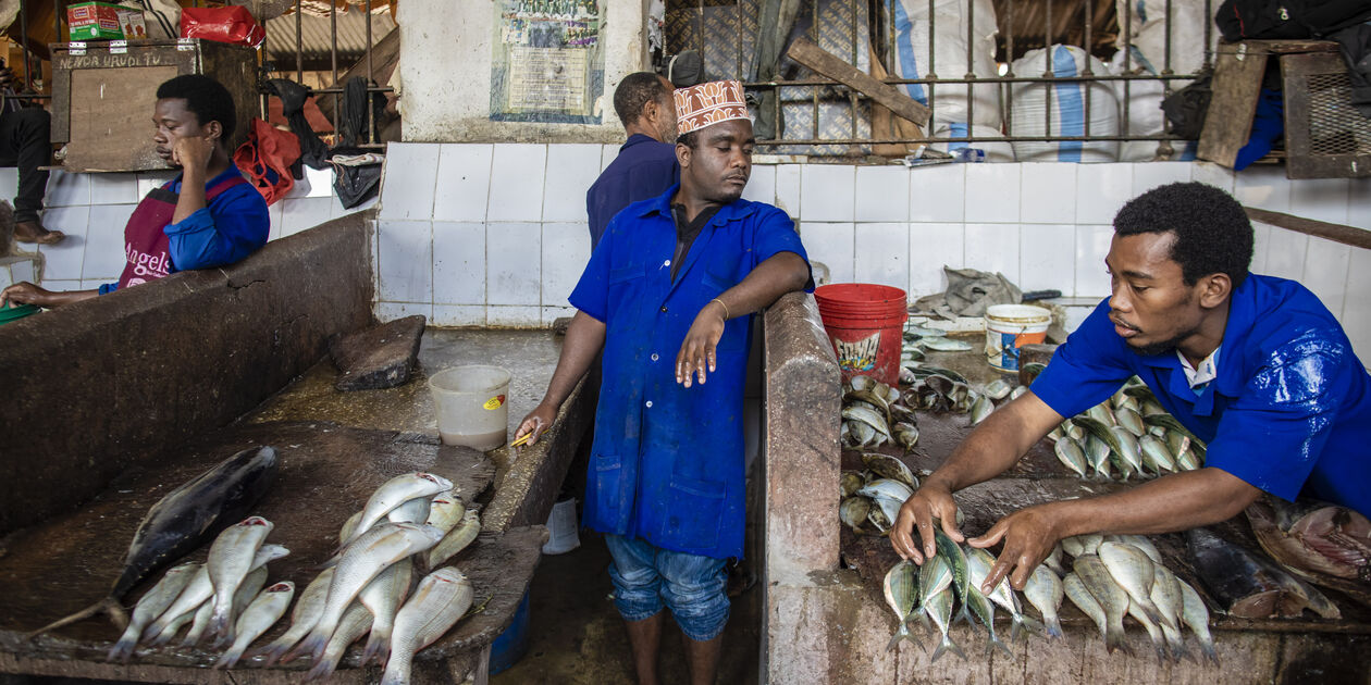 Stand de poissons au marché - Stone Town - Zanzibar Vieille Ville - Tanzanie