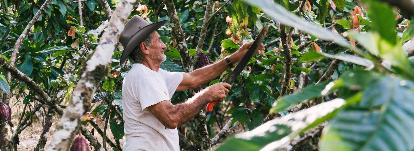 Rencontre avec la communauté Bribri et découverte de la fabrication du cacao - Costa Rica 