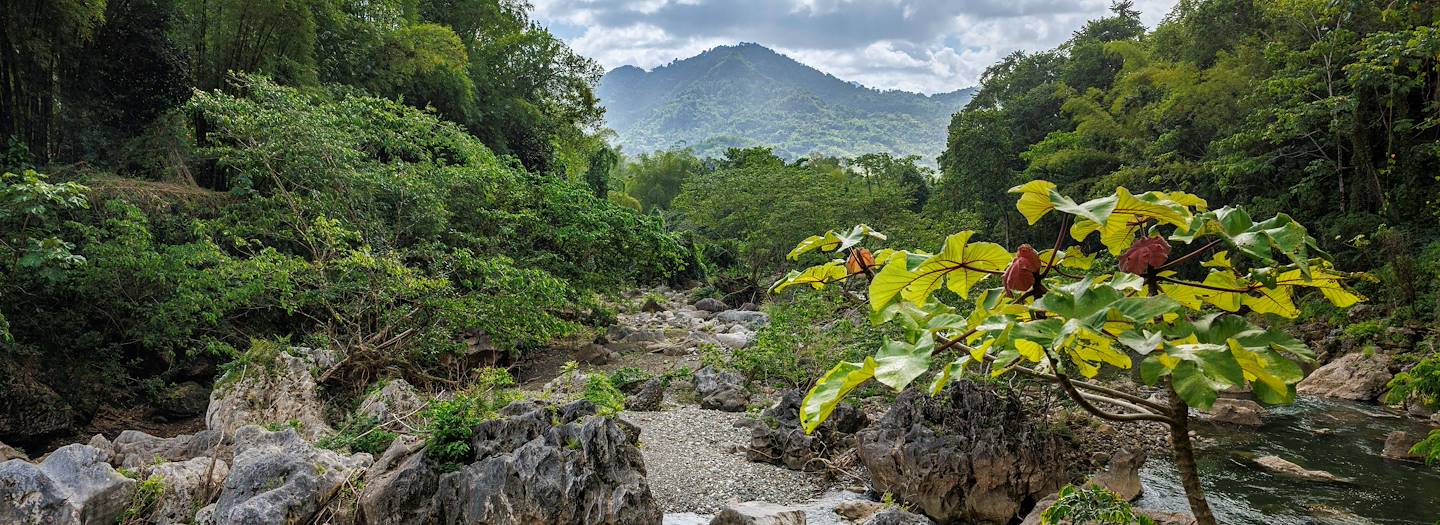 Immersion chez les Marrons - Moore Town - Blue Mountains - Portland - Jamaïque