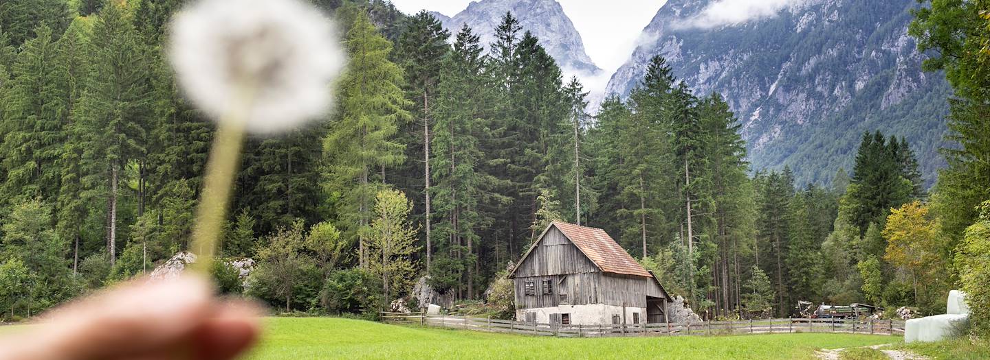 Vallée de Robanov Kot - Solcava - Slovénie