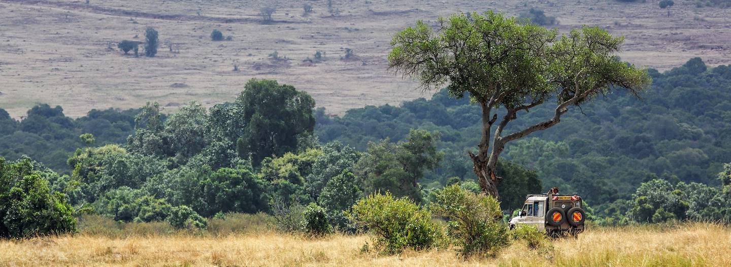 Safari dans la réserve du Masai Mara - Kenya