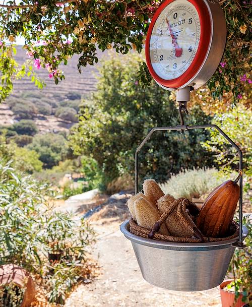 Tinos Ecolodge - Tinos - Cyclades - Grèce