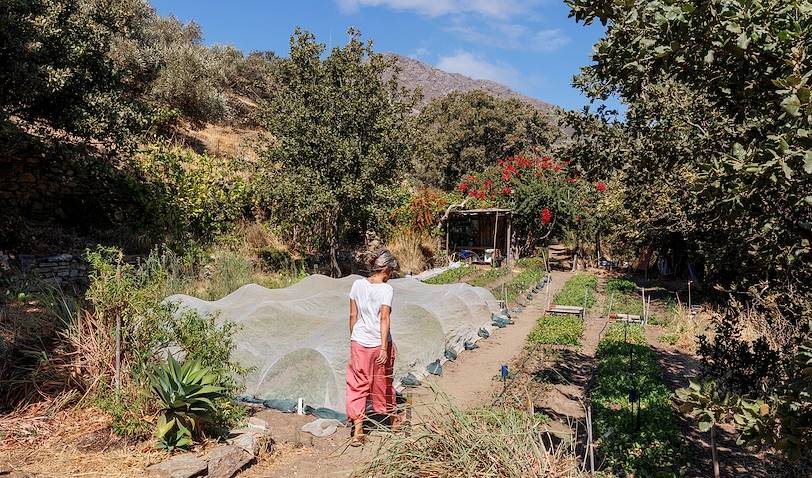 Tinos Ecolodge - Tinos - Cyclades - Grèce