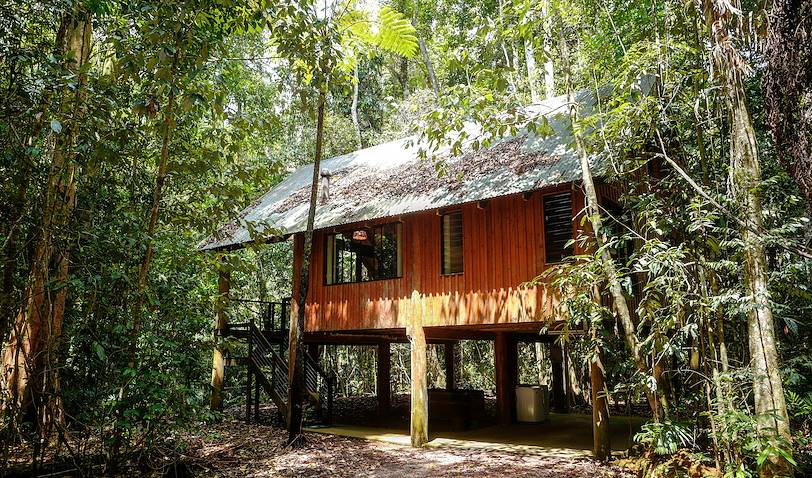 The Canopy Rainforest Treehouses - Tarzali - Le Queensland - Australie